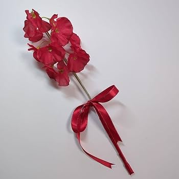 松田聖子♡赤いスイートピー♡2023 2024コンサートグッズまとめ売♥未使用♥ 松田聖子♡赤いスイートピー♡2023 2024コンサートグッズまとめ